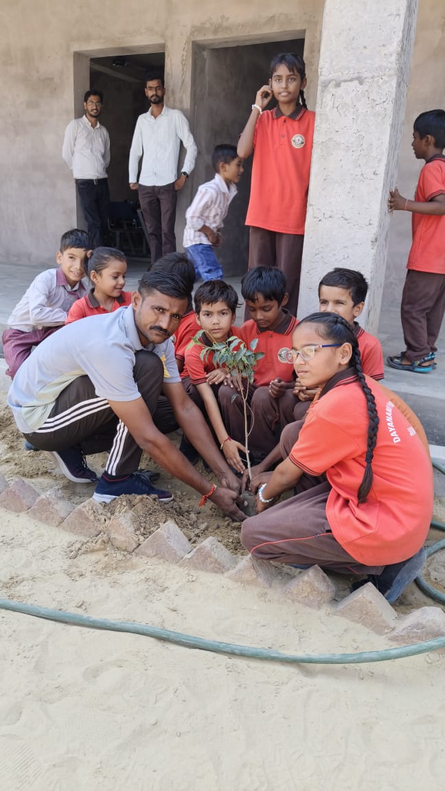 PLANTATION IN THE SCHOOL PREMISES - Image 3